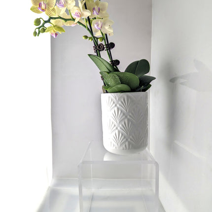 Heavy Duty Acrylic Pedestal Riser Stand - 5"x5"