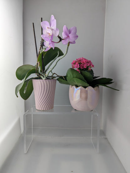 acrylic riser with flower pots